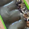 Eucalyptus & Activated Charcoal Bar Soap - Vegan, Handmade