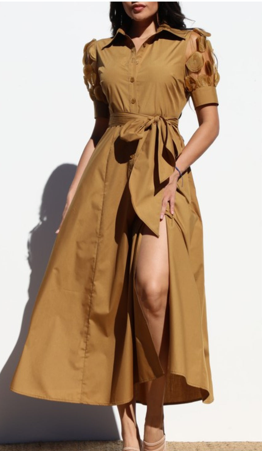 Cocoa Lace Sleeve Woven Midi Dress